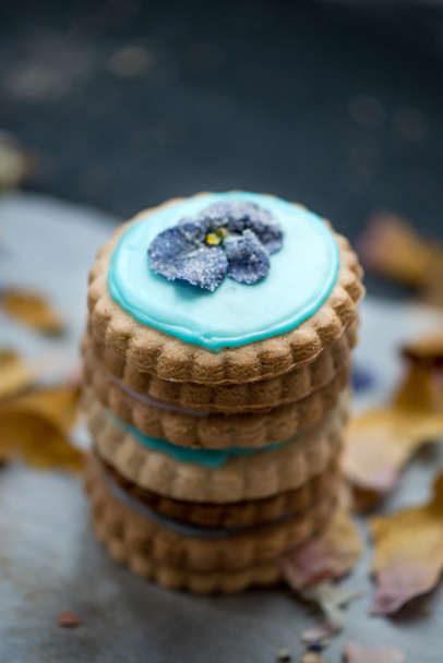 Domowe ciasteczka pokryte pastelowych kolorów pudru - Zdjęcie, obraz