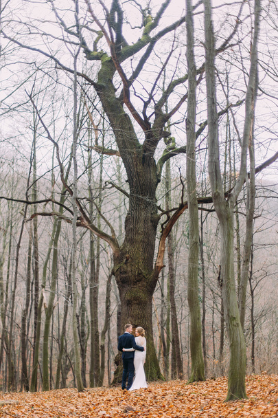 Wedding couple hugs in autumn forest near the tree. - Foto, imagen