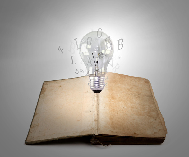 Book and light bulb - Photo, Image
