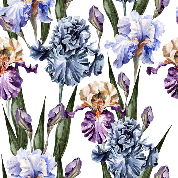Watercolor pattern with flowers  iris. - Φωτογραφία, εικόνα
