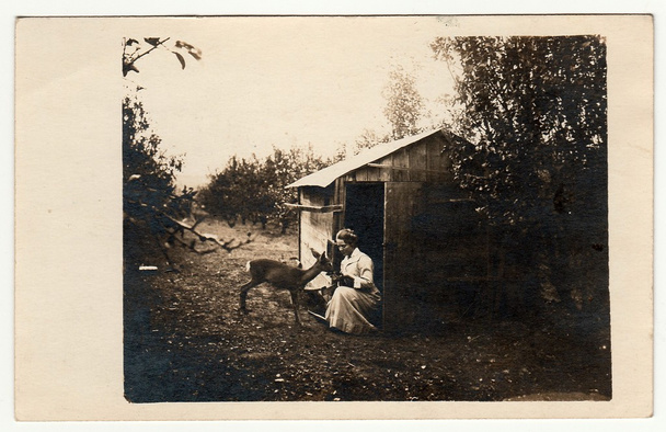 Archiwalne zdjęcie pokazuje, że kobieta karmi Kowalski. Siada przed mały dom, ogród. Zdjęcie czarnej idealna biały. - Zdjęcie, obraz