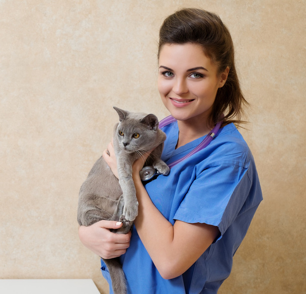 Veterinarian examining cat in veterinary clinic - Foto, afbeelding