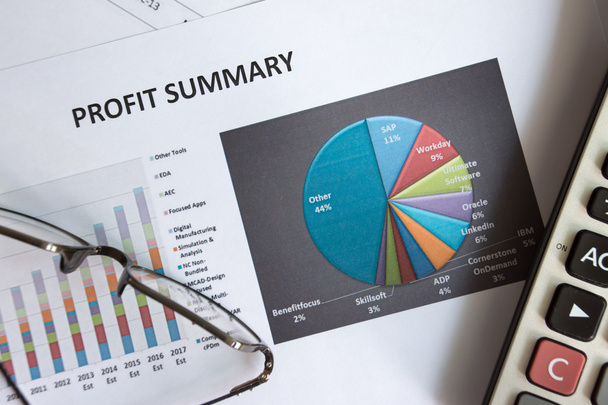 Contabilidad financiera del análisis de gráficos de resumen de beneficios
 - Foto, imagen