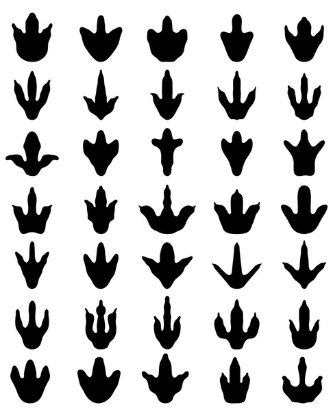 footprints of dinosaurs - Vector, Image