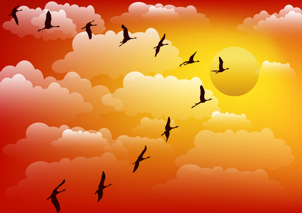 Cranes birds against sunset. Vector. - Vector, Image