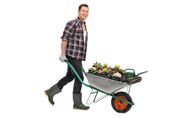 Gardener pushing a wheelbarrow with flowers  - Фото, зображення