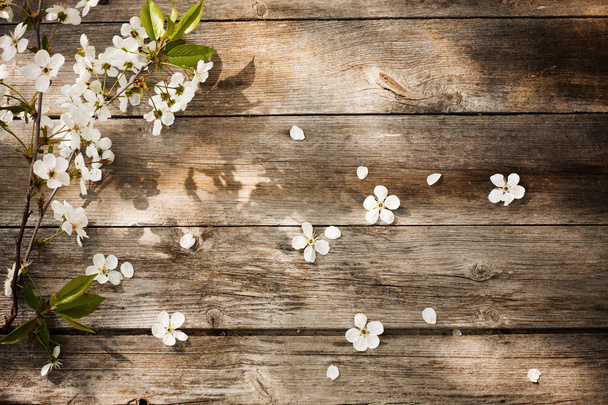 Spring flowers on wooden background - Фото, изображение