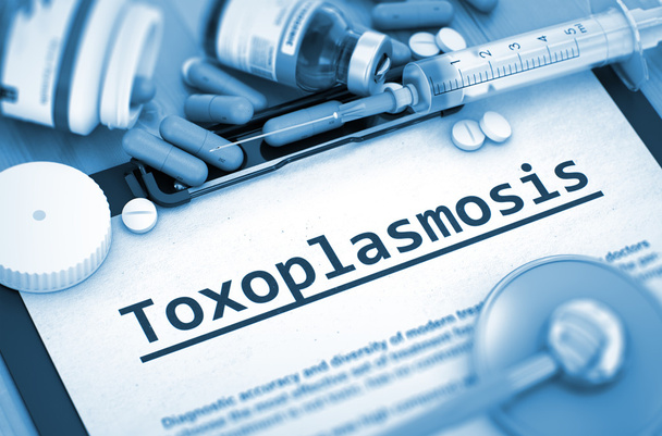 Toxoplazmóza diagnóza. Lékařská koncepce. - Fotografie, Obrázek