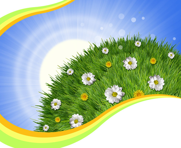 Nature background with green grass and sun light for text - Photo, Image