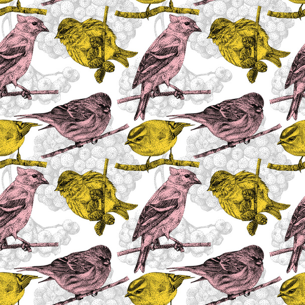 Seamless pattern with different birds and plants drawn by hand - Foto, Imagen