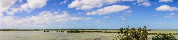 nyugodt természet florida billentyűk - Fotó, kép