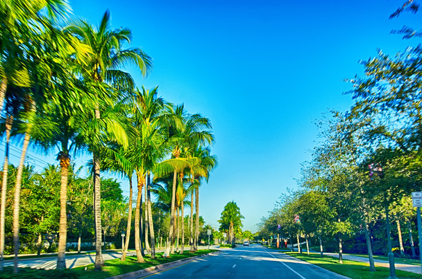 Miami Florida ranta kohtauksia aurinkoisena päivänä
 - Valokuva, kuva