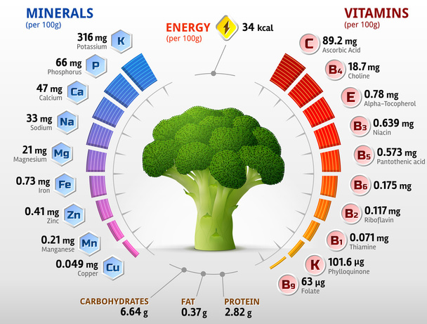 Vitaminas y minerales de la cabeza de la flor del brócoli
 - Vector, imagen
