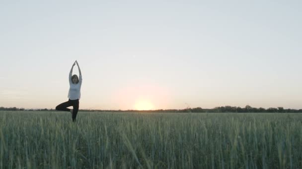 Postura del árbol del vrikshasana del yoga por la mujer en campo
 - Imágenes, Vídeo