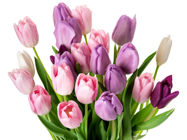 Colorful tulips flowers bouquet - Фото, изображение