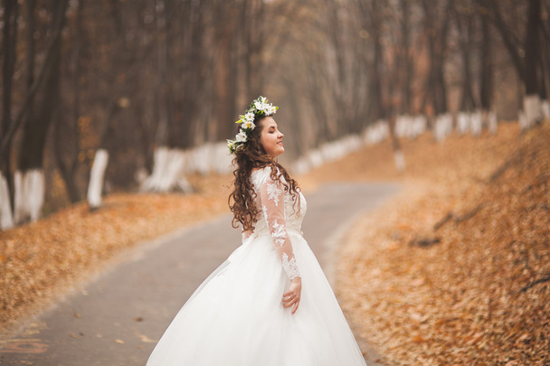 Beautiful bride posing in park and forest autumn - Photo, Image