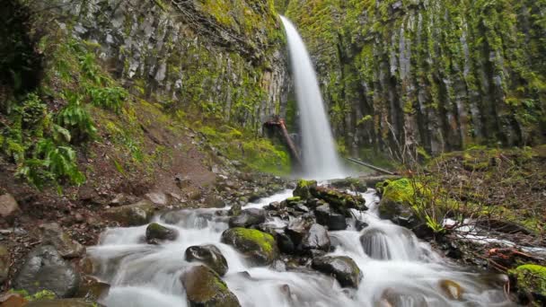 A hosszú expozíciós sima zsurló víz áramlik a Dry Creek Falls zöld moha és páfrány mentén Columbia Gorge-Portland Oregon 1080p magas meghatározás film - Felvétel, videó