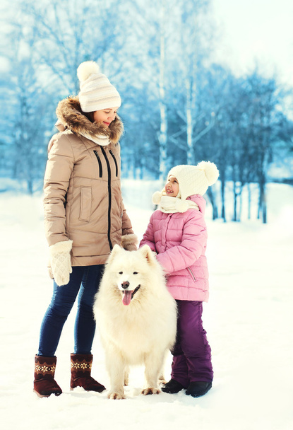 Mère et enfant marchant avec le chien Samoyed blanc dans la journée d'hiver
 - Photo, image