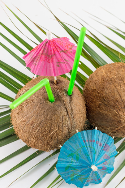 Fresh coconut cocktail for the summer - Фото, зображення