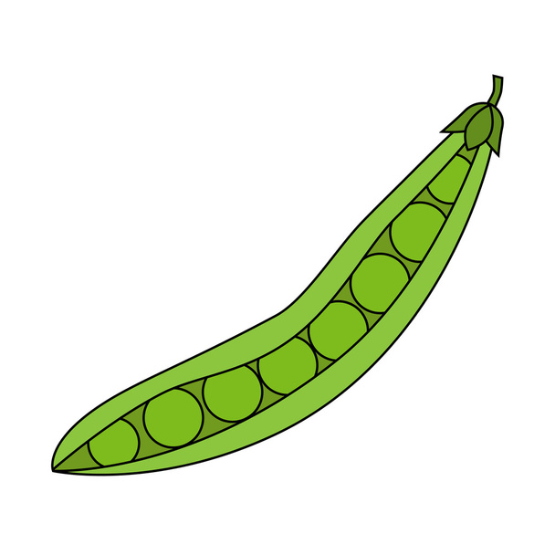 зеленый горох с листом
 - Вектор,изображение