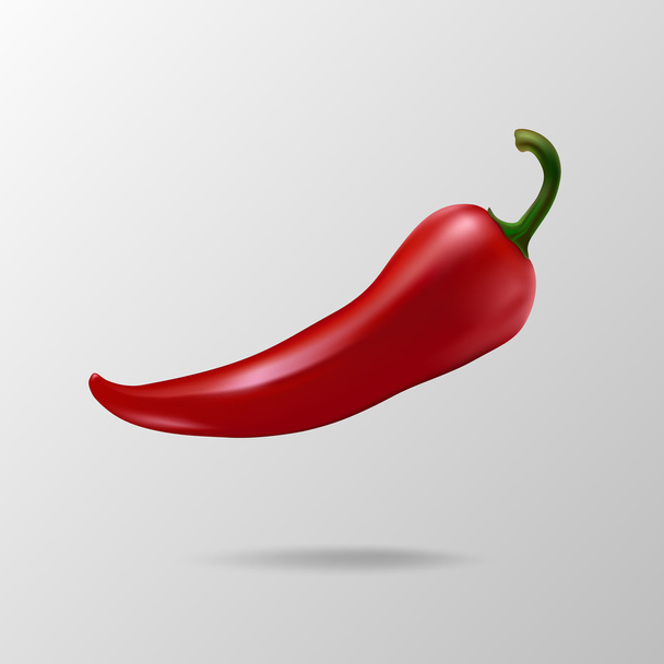 Vector red chilli pepper - Вектор,изображение