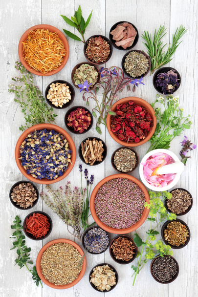 Natural Herbal Medicine - Foto, Bild