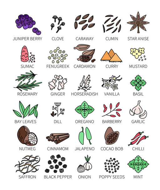 Set of line spices - Vector, Image