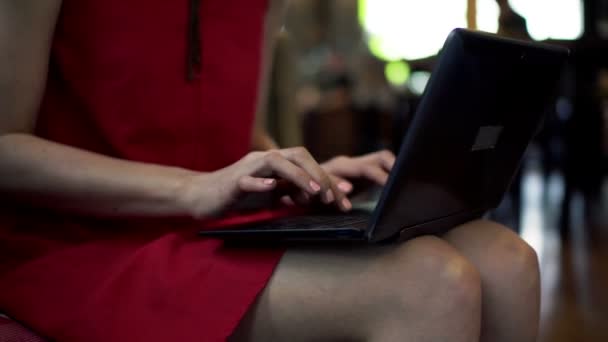 woman typing on laptop sitting in cafe - Metraje, vídeo