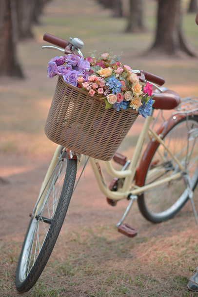Soft focus flower on a bicycle - Foto, imagen