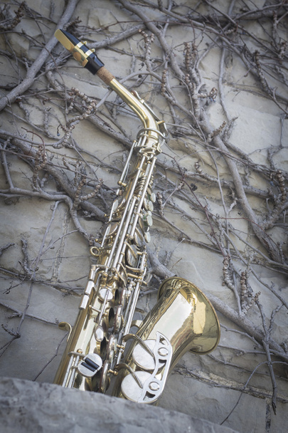 Jazzowy saksofon Grunge - Zdjęcie, obraz