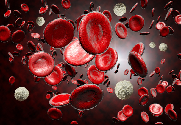Células sanguíneas vermelhas e brancas - Foto, Imagem