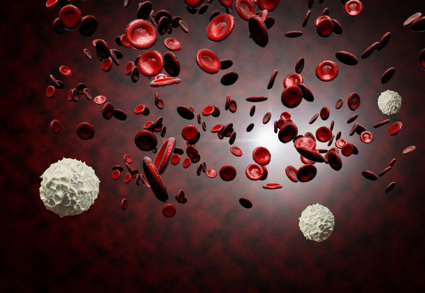 Красные и белые клетки крови - Фото, изображение