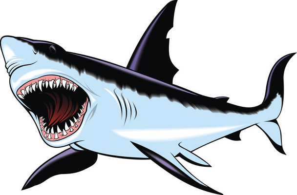 tiburón peligroso salvaje
 - Vector, Imagen