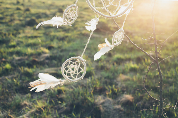 dreamcatcher hanging from a tree in a field at sunset - Photo, Image