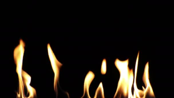 Burning Fire Background Texture - Footage, Video