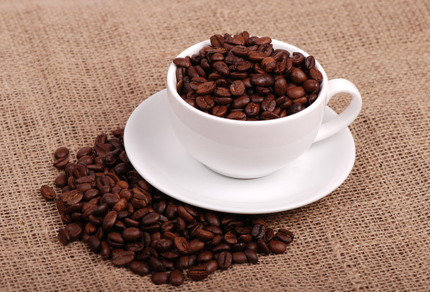 Coffee beans - Fotografie, Obrázek