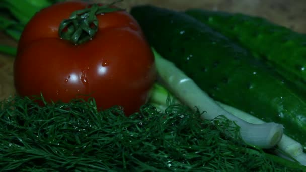 Salatalık ve sebze salatası - Video, Çekim