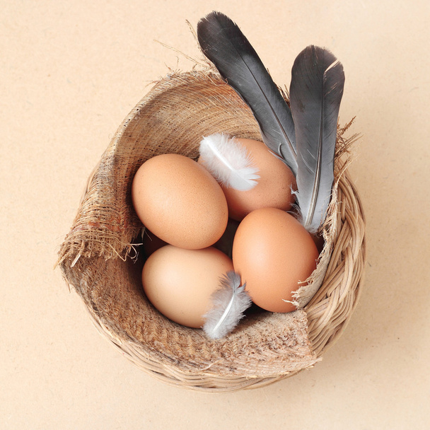 Fresh Hen Eggs - Photo, Image