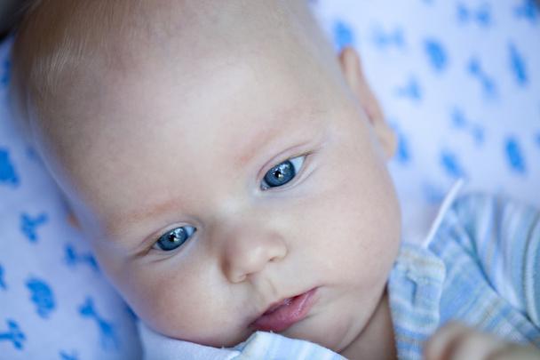Cute three month old baby boy  - Фото, зображення