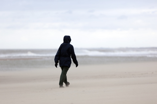 person strolls on stormy north sea beach in holland with cloudy  - Fotoğraf, Görsel