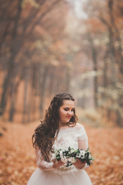Beautiful bride posing in park and forest autumn - Φωτογραφία, εικόνα