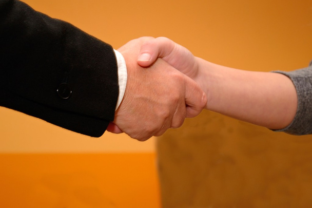 Händeschütteln bei Vorgesetzten und Kandidaten - Foto, Bild