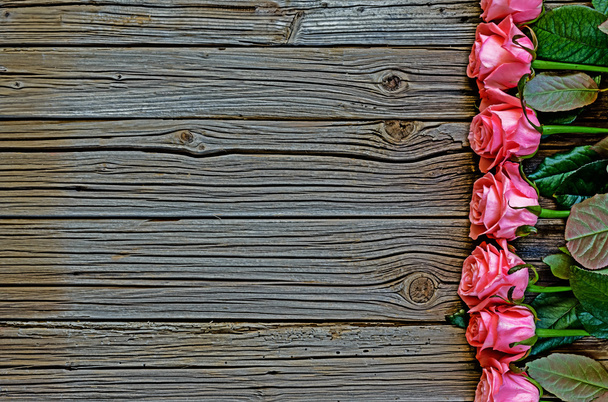 Side border of beautiful fresh pink roses - Photo, Image