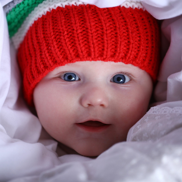 Five month old baby boy  - Foto, Imagem