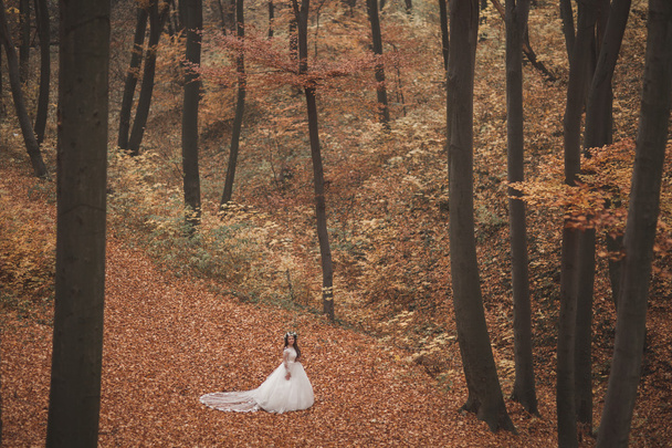 Beautiful bride posing in park and forest autumn - Φωτογραφία, εικόνα