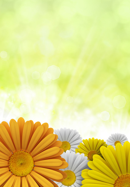 Spring flowers - nature background - Foto, Imagen
