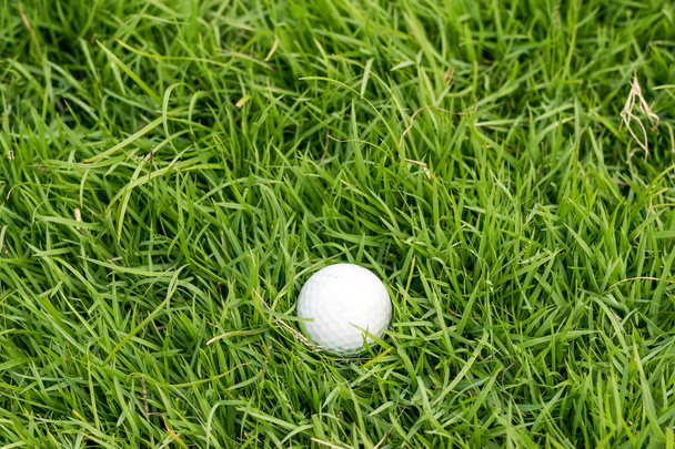 Μπάλα του γκολφ για την πράσινη χλόη, στο γήπεδο του γκολφ. - Φωτογραφία, εικόνα