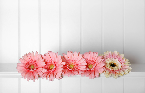 Pink gerberas on shelf  - Foto, Imagen