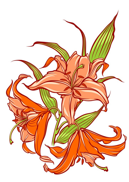 pomarańczowy Lilie - Wektor, obraz
