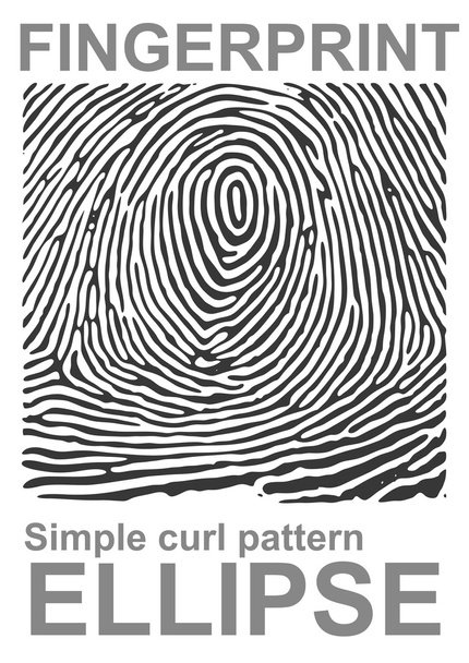 Black fingerprint shape secure. identification ID finger. Vector illustration - Vector, Image